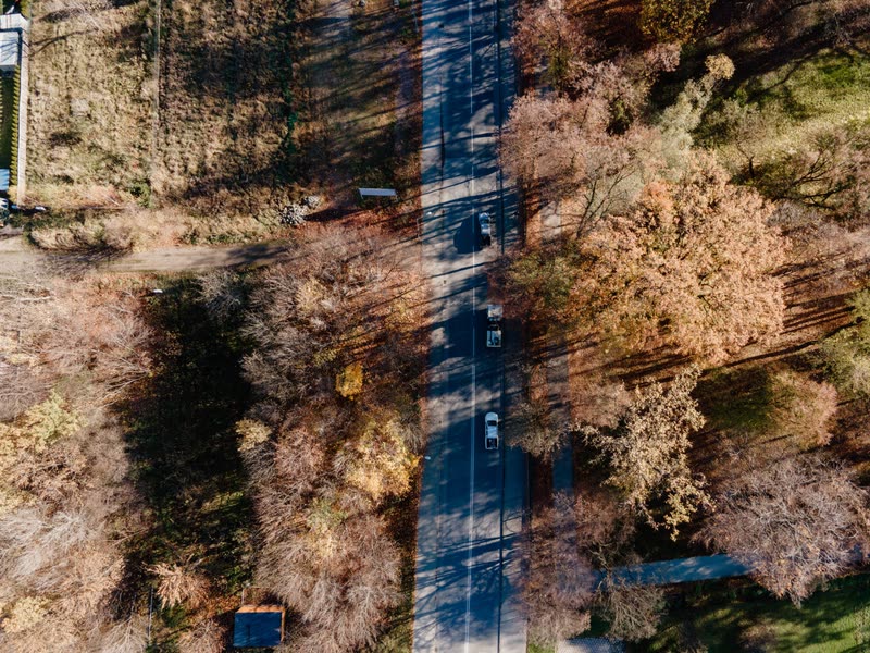 Widok pionowy z drona na drogę i jesienny las
