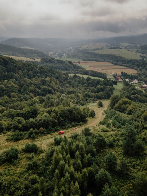 Dolina i lasy z drona